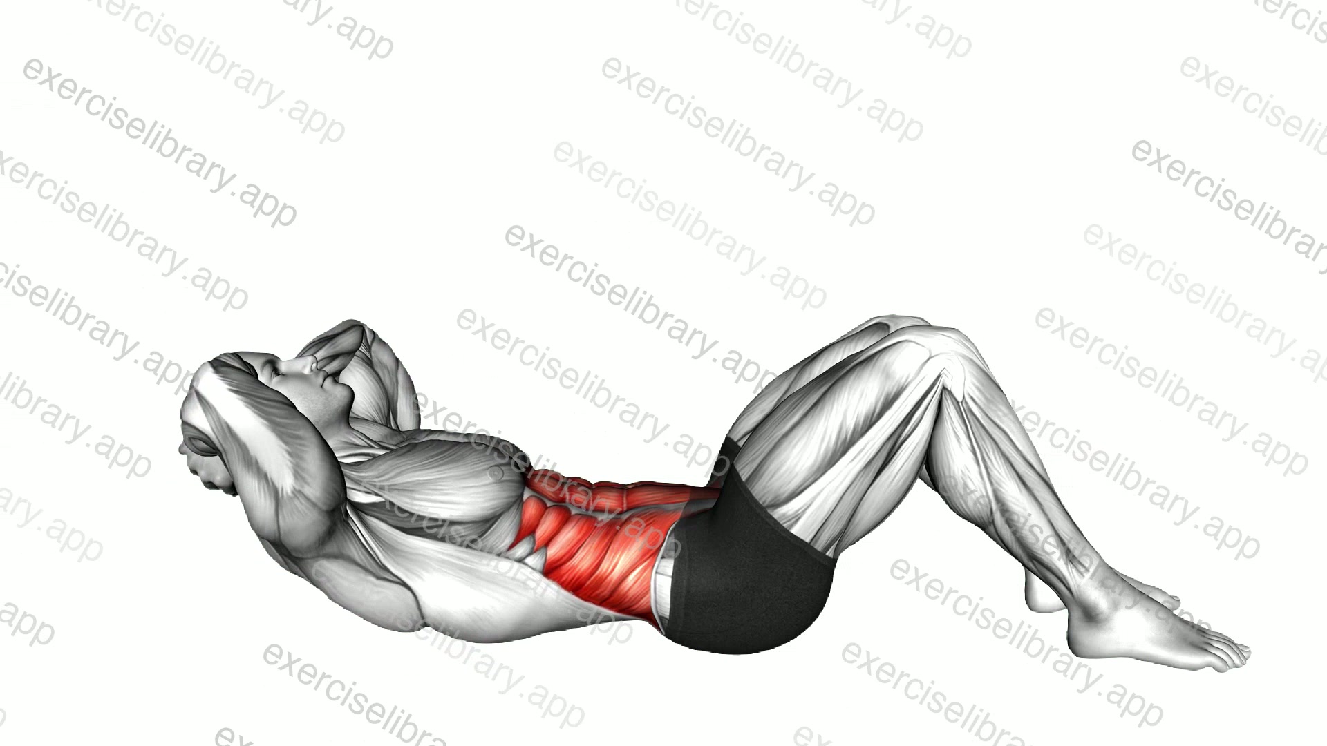 Lying Alternating Crunch and Twist demonstration