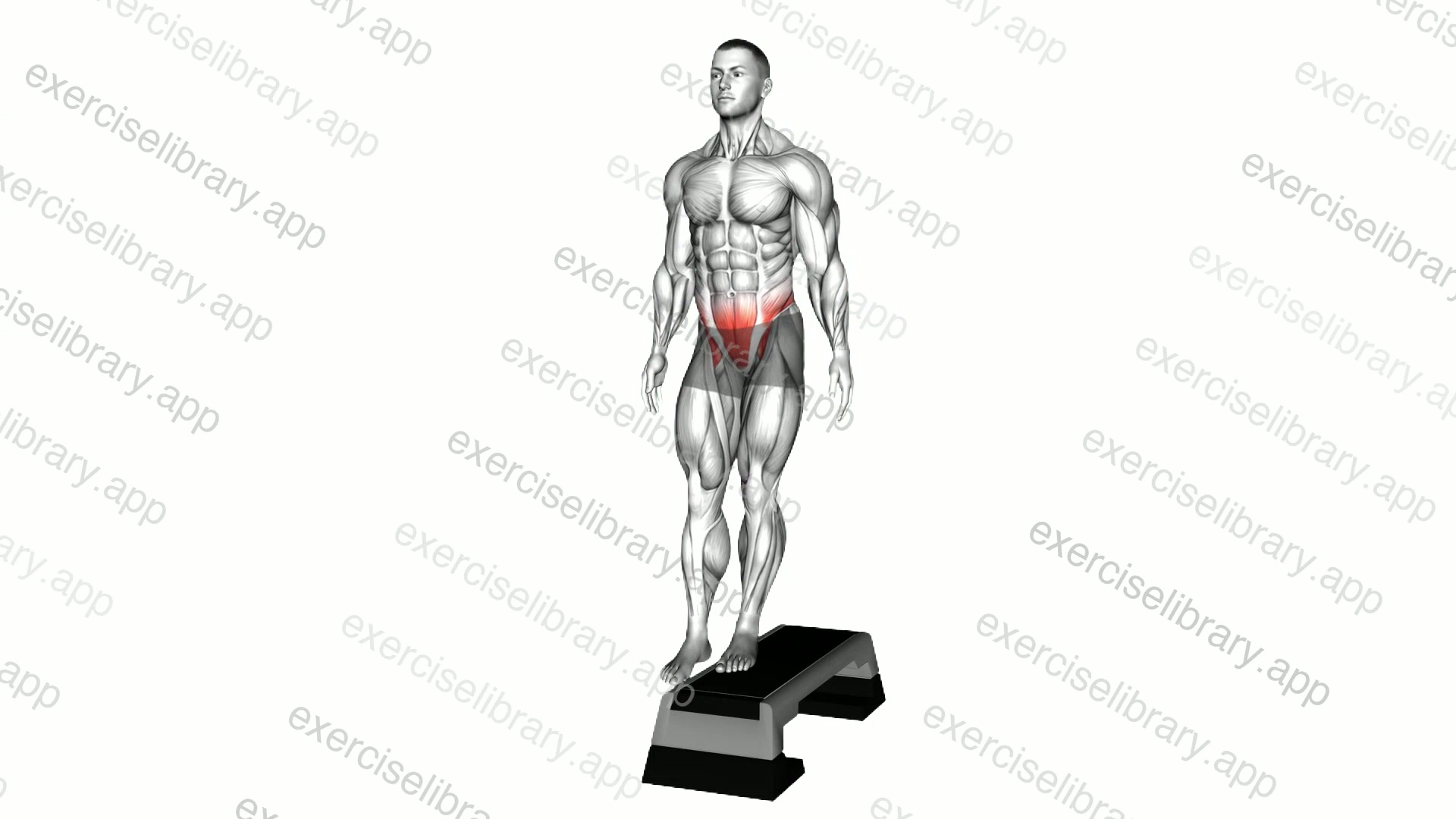 Standing Pelvic Lift demonstration