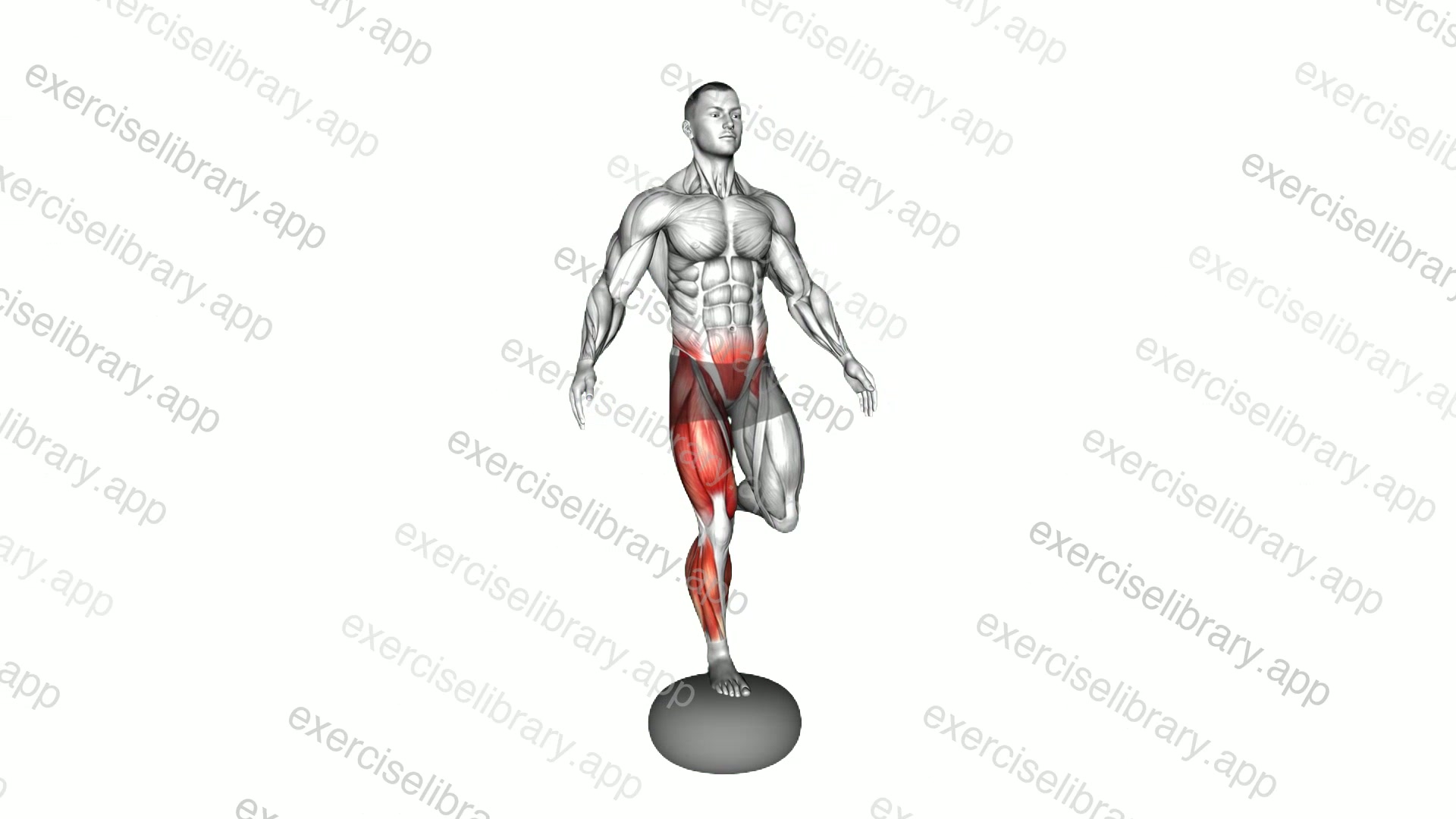 Air Pillow Single Leg Balance demonstration