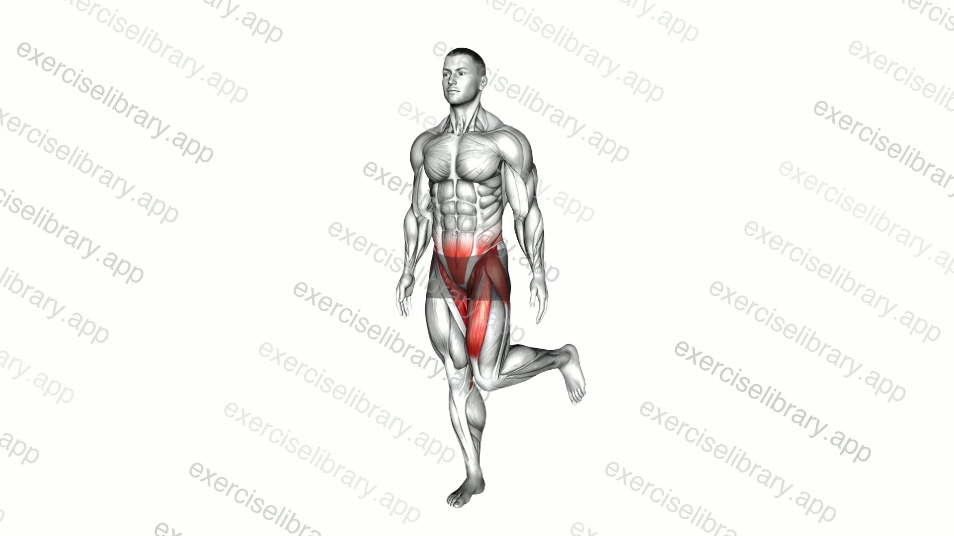 Standing Balance Single Leg Hip Rotation demonstration