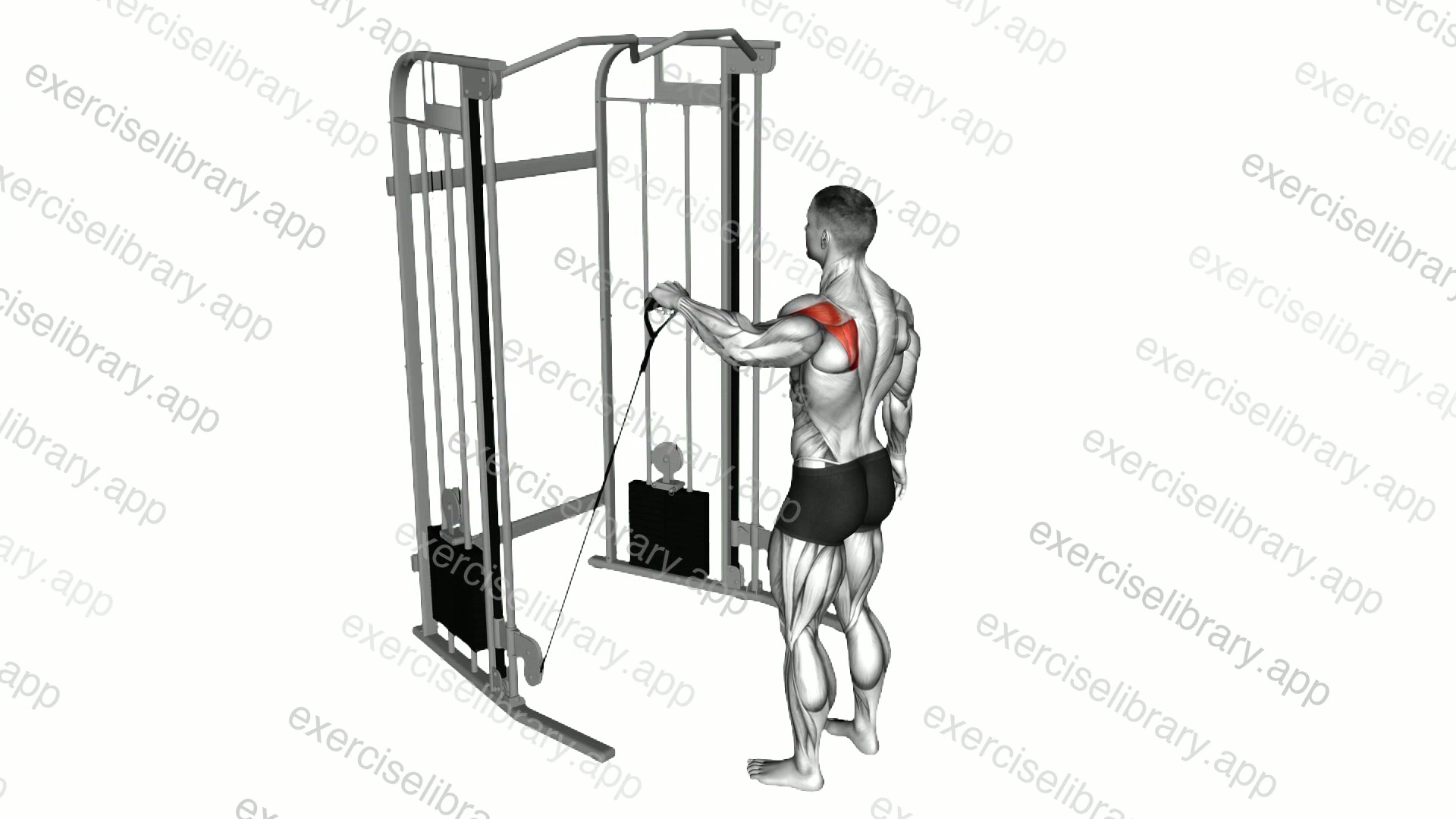 Cable Low Shoulder 90 degrees External Rotation demonstration