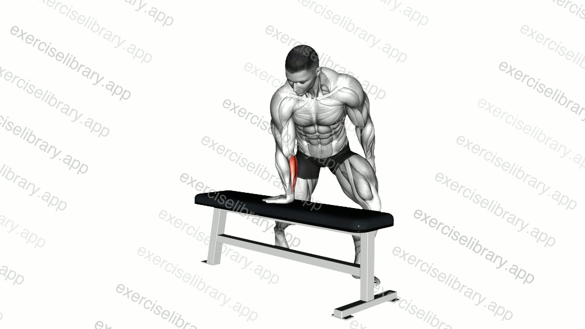Bent over Single Arm Wrist Flexors Stretch demonstration