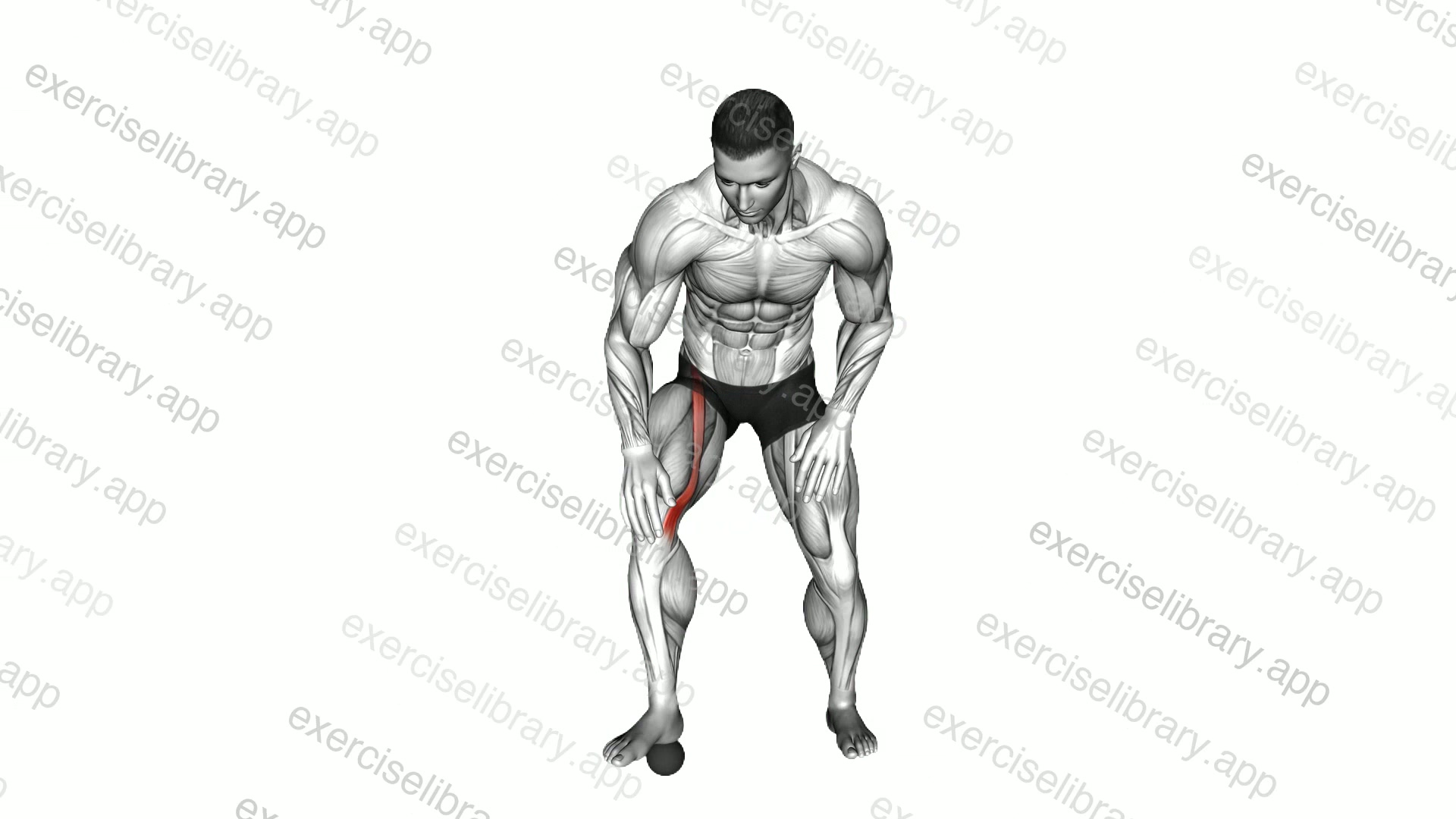 Bent over Lower Leg Rotation demonstration