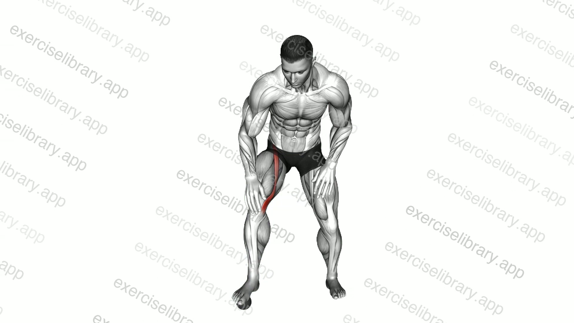 Bent over Foot Tilt demonstration