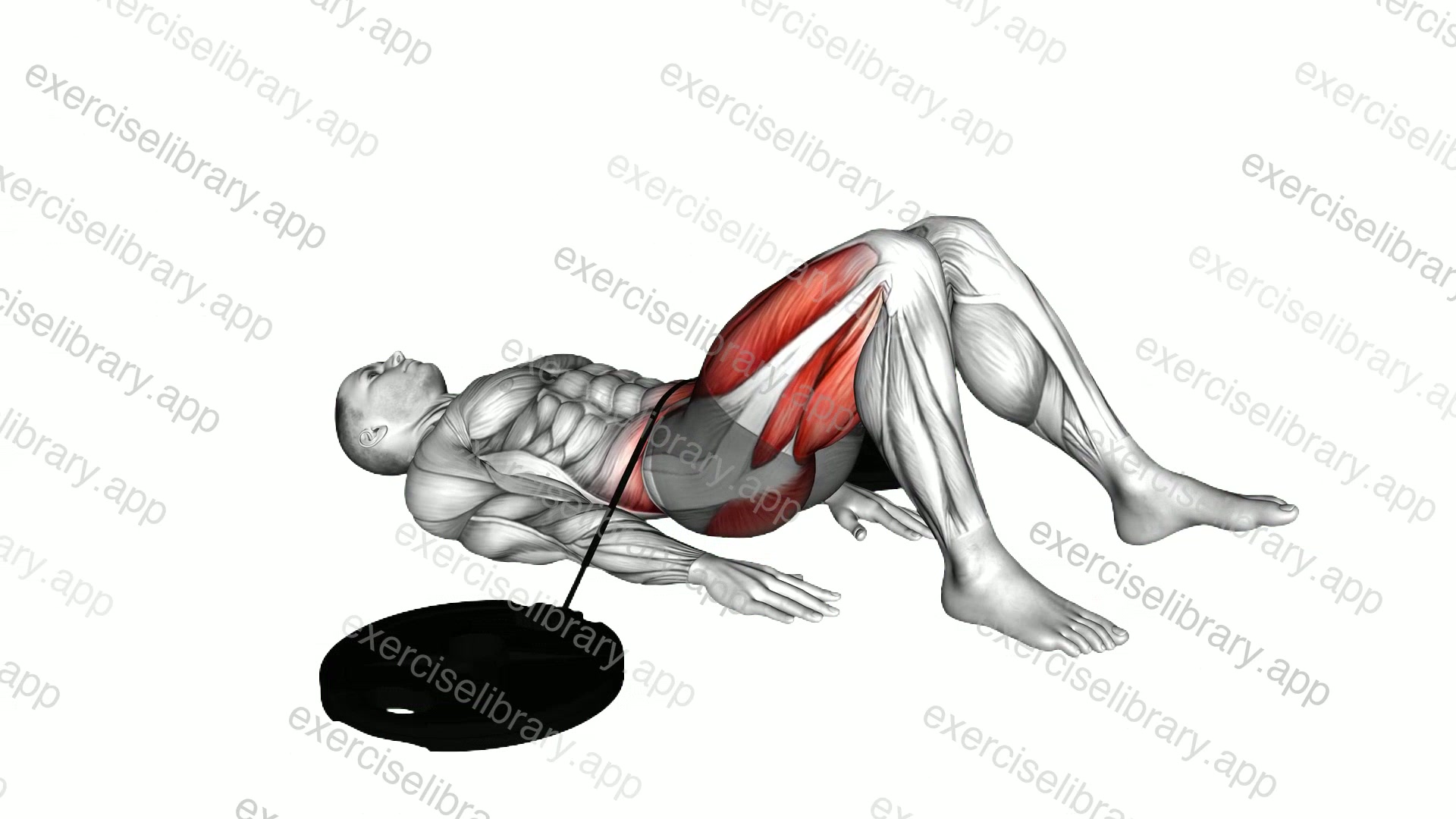 Band Single Leg Hip Lift demonstration