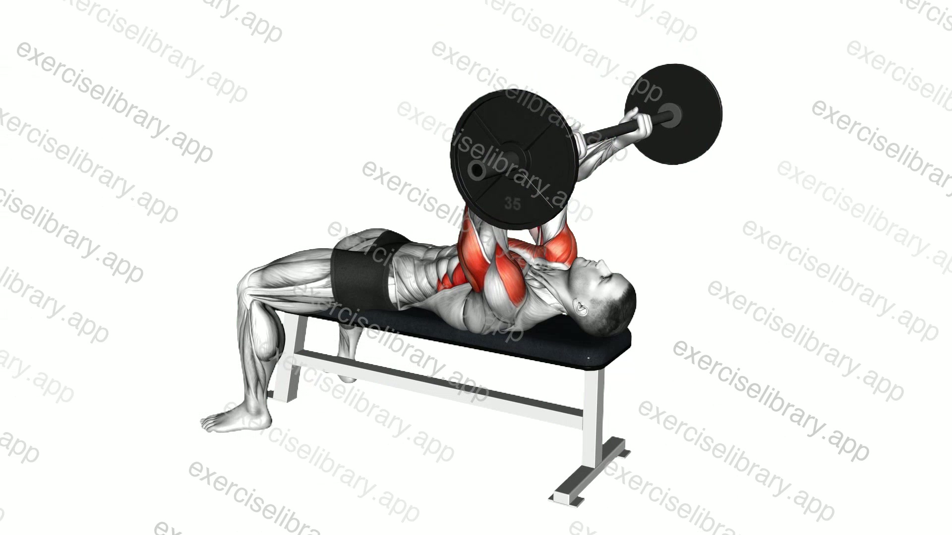 Barbell California Press demonstration