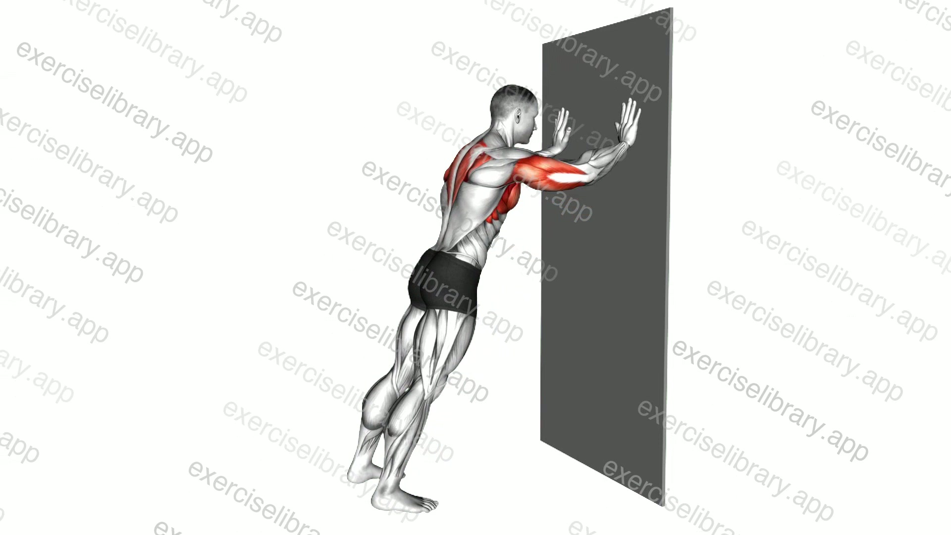 Wall Push-up to Back Clap demonstration