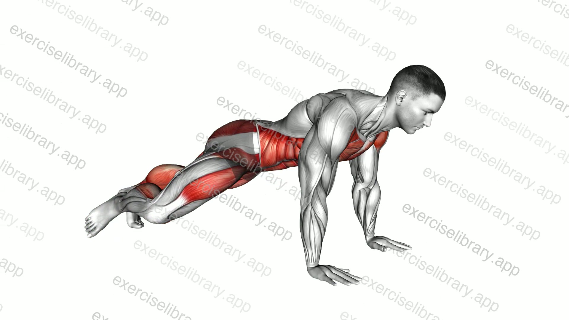Spiderman Front Plank demonstration
