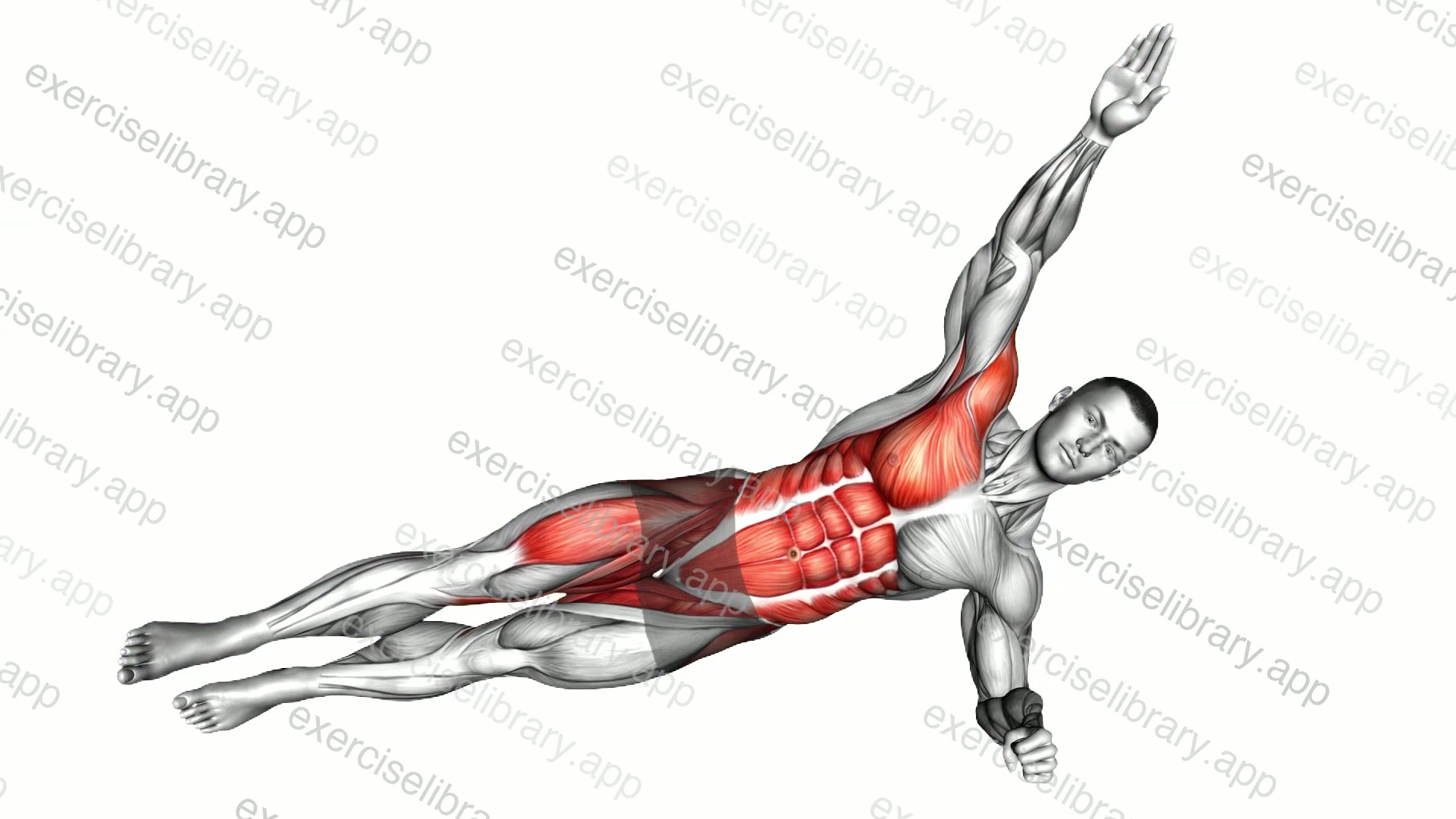 Side Plank Toe Tap demonstration