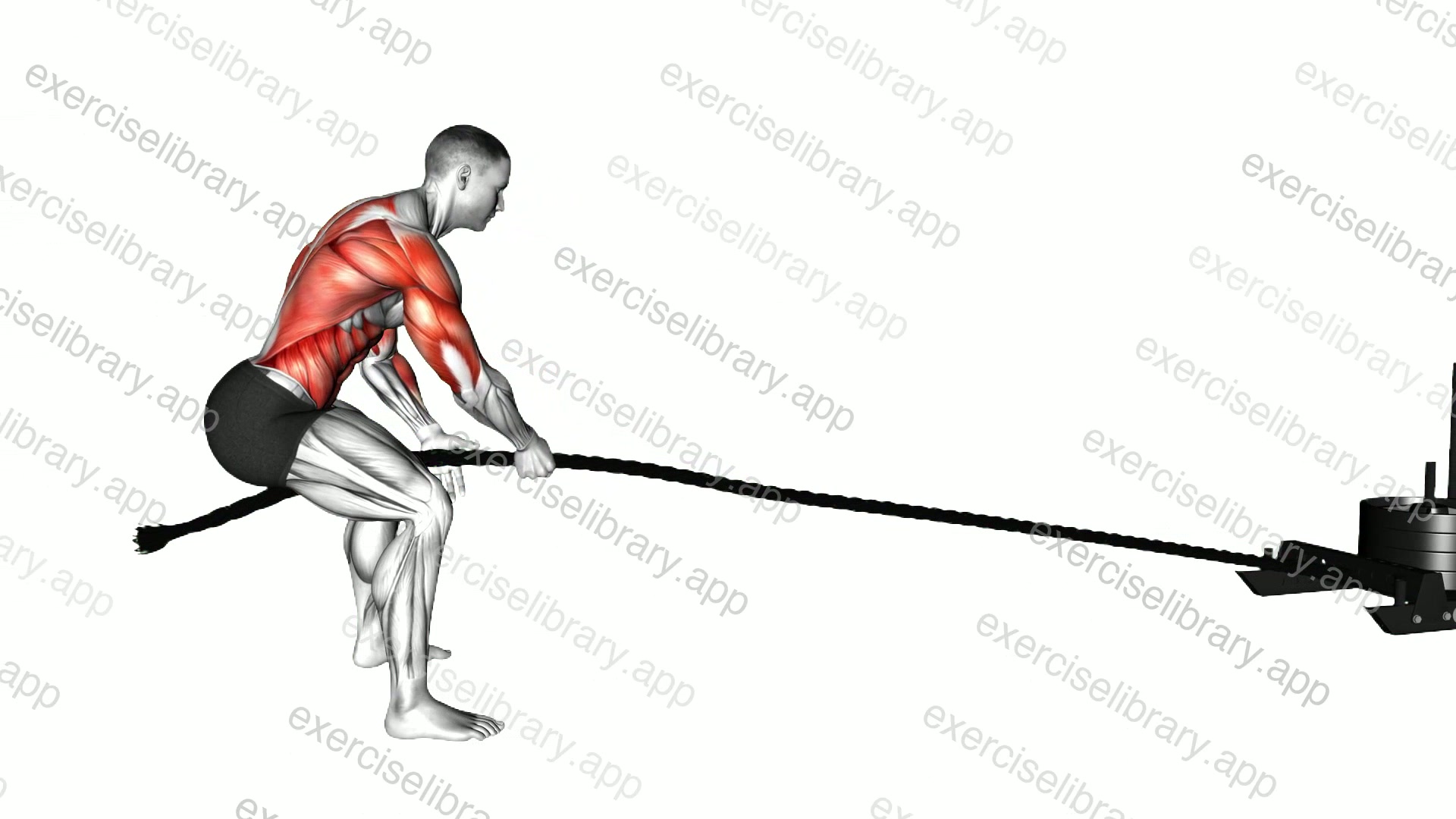 Power Sled Pull demonstration