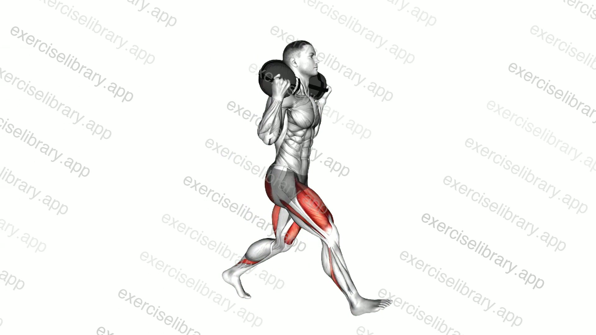 Weighted Sandbag Forward Lunge demonstration