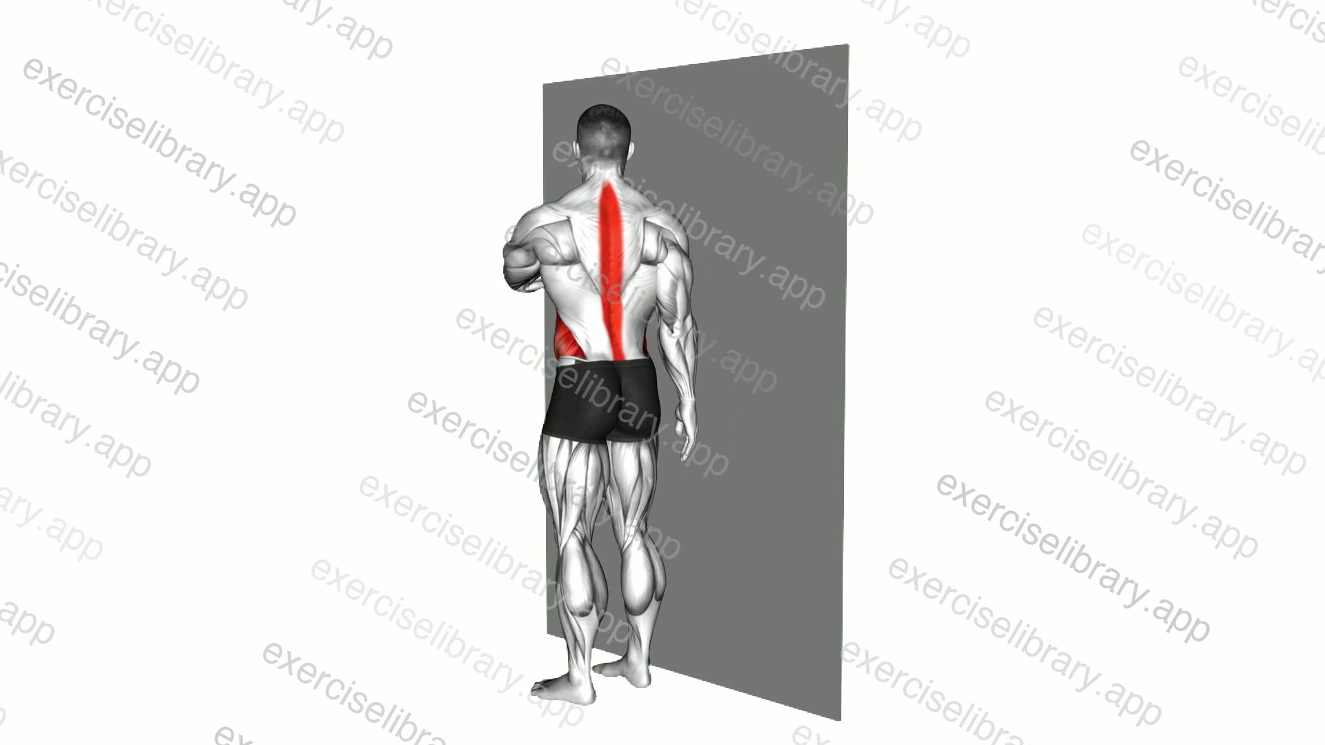 Standing Spinal Rotation Stretch against Wall demonstration