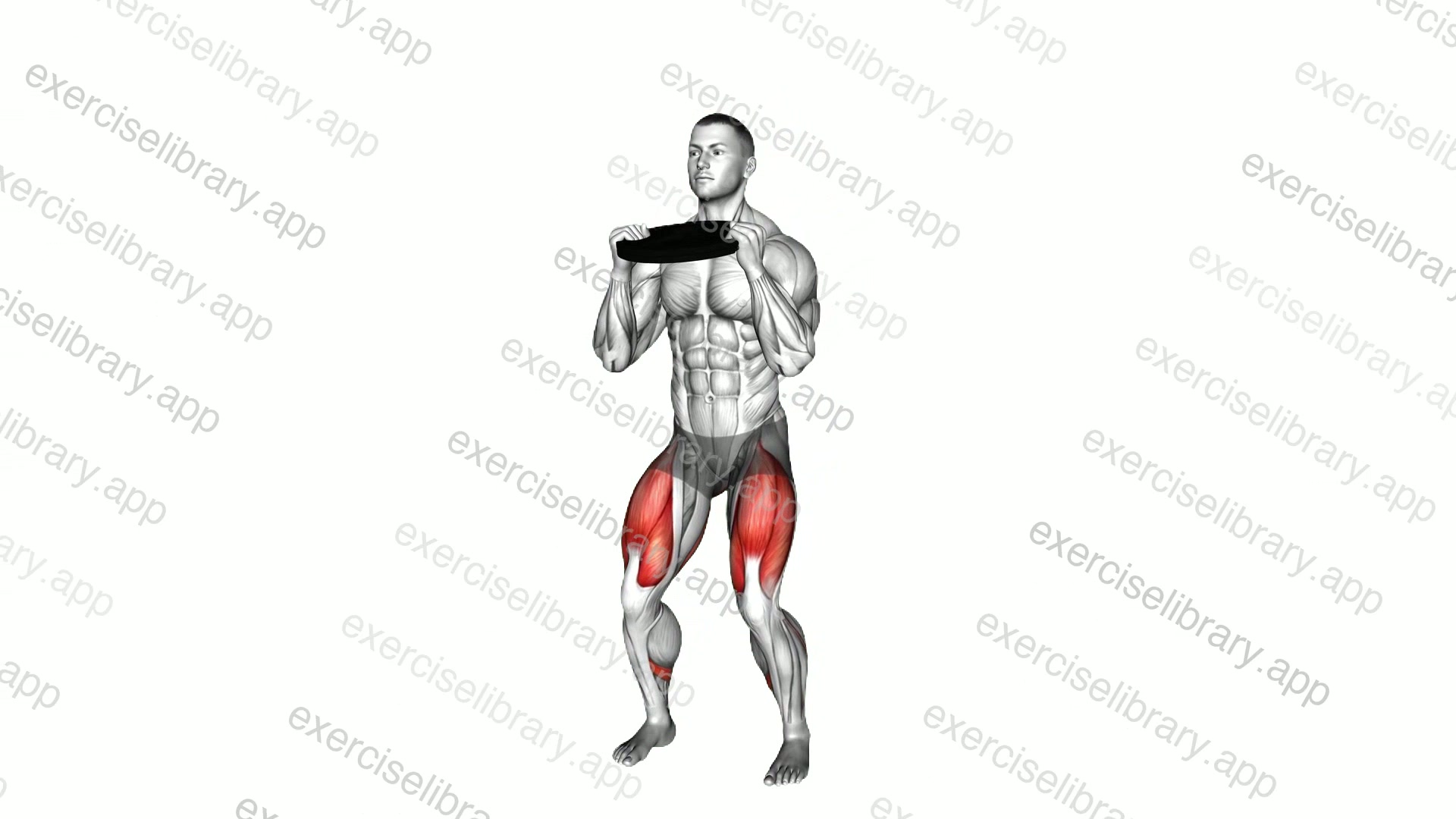 Weighted Plate Squat demonstration