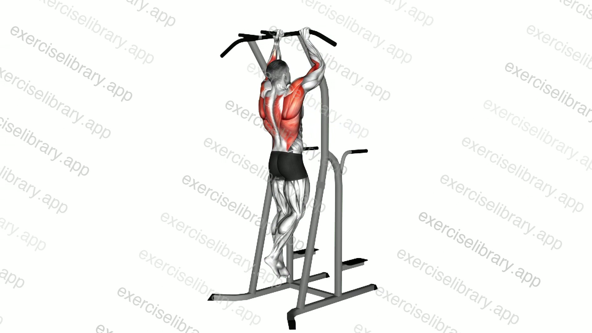 Dual grip Pull-up demonstration