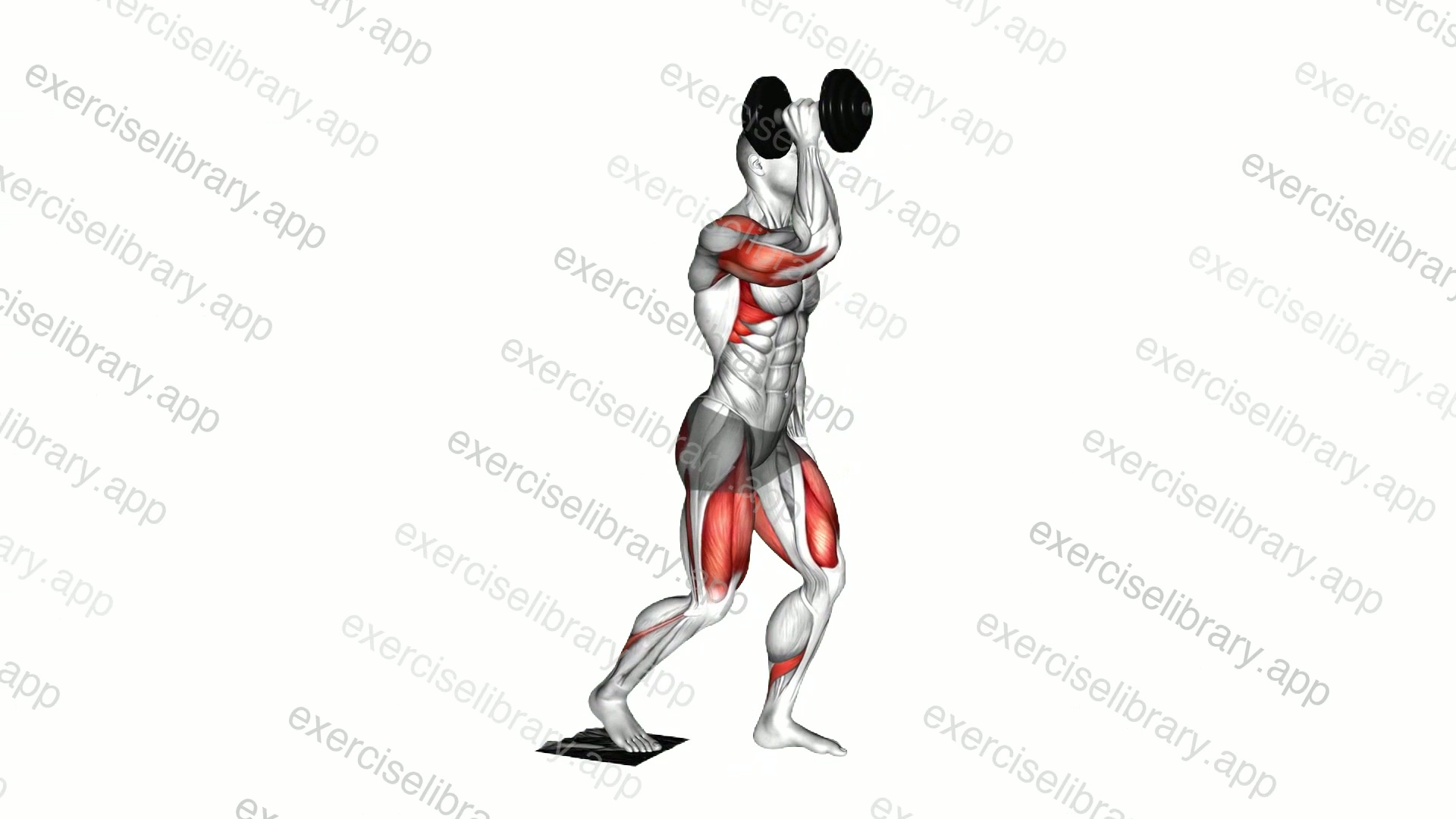 Dumbbell Sliding Rear Lunge Single Arm Press demonstration