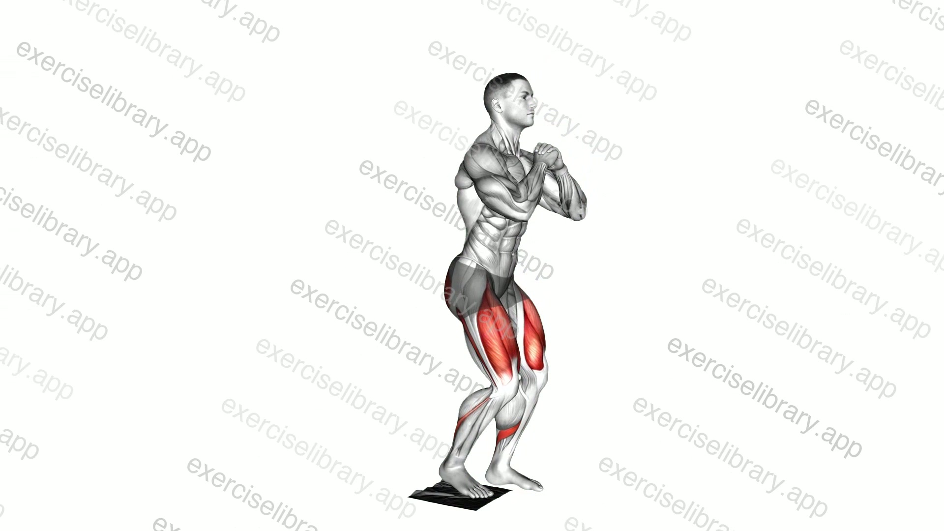 Bodyweight Narrow Sliding Squat with Towel demonstration