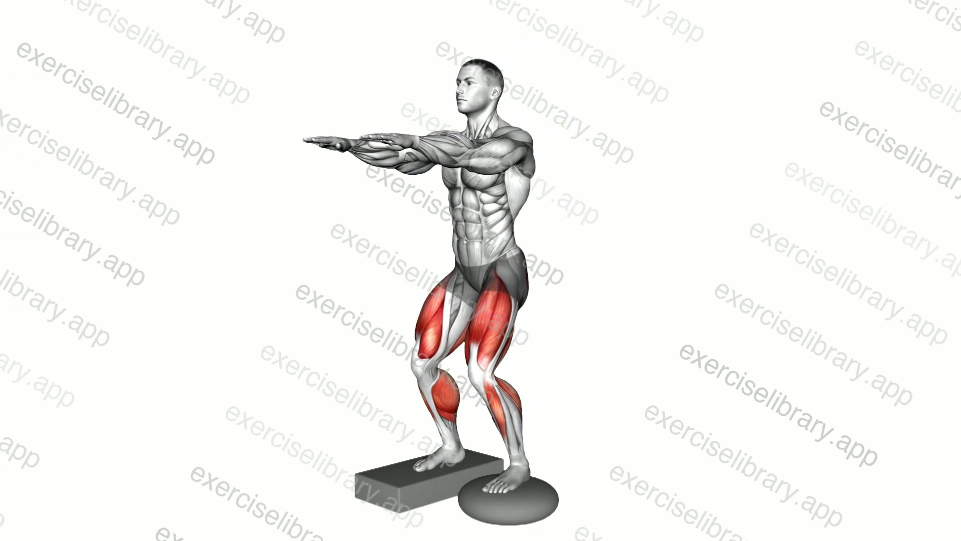 Bodyweight Balance Squat with Pillow demonstration