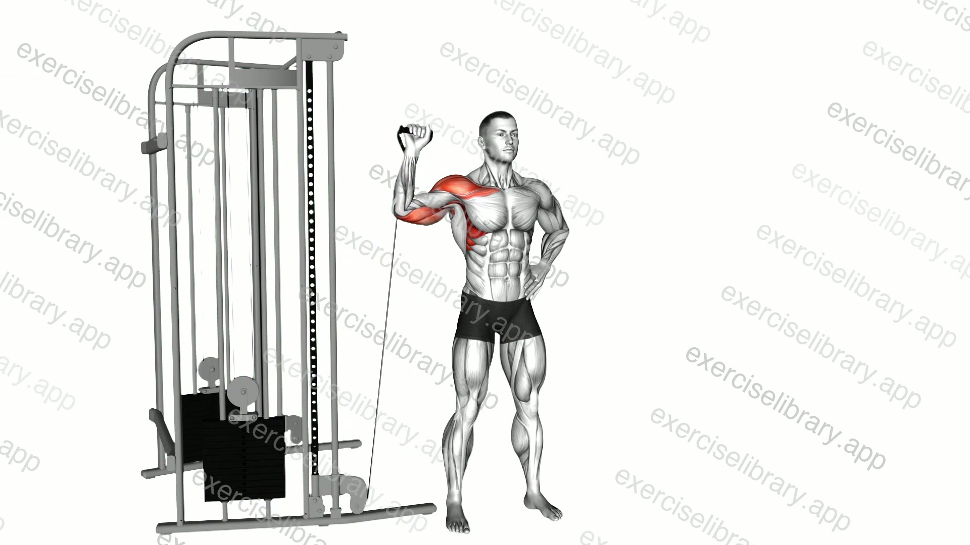 Cable Single Arm Military Press demonstration