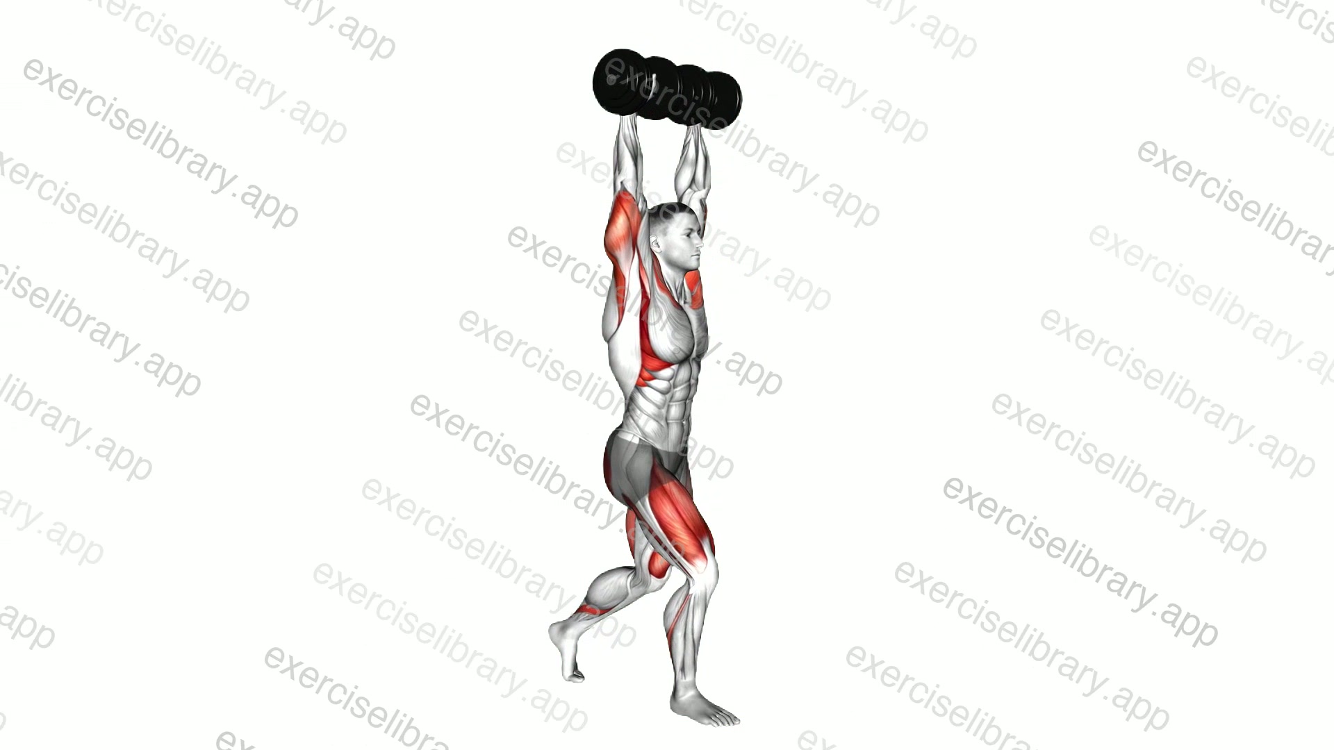 Dumbbell Overhead Split Squat demonstration
