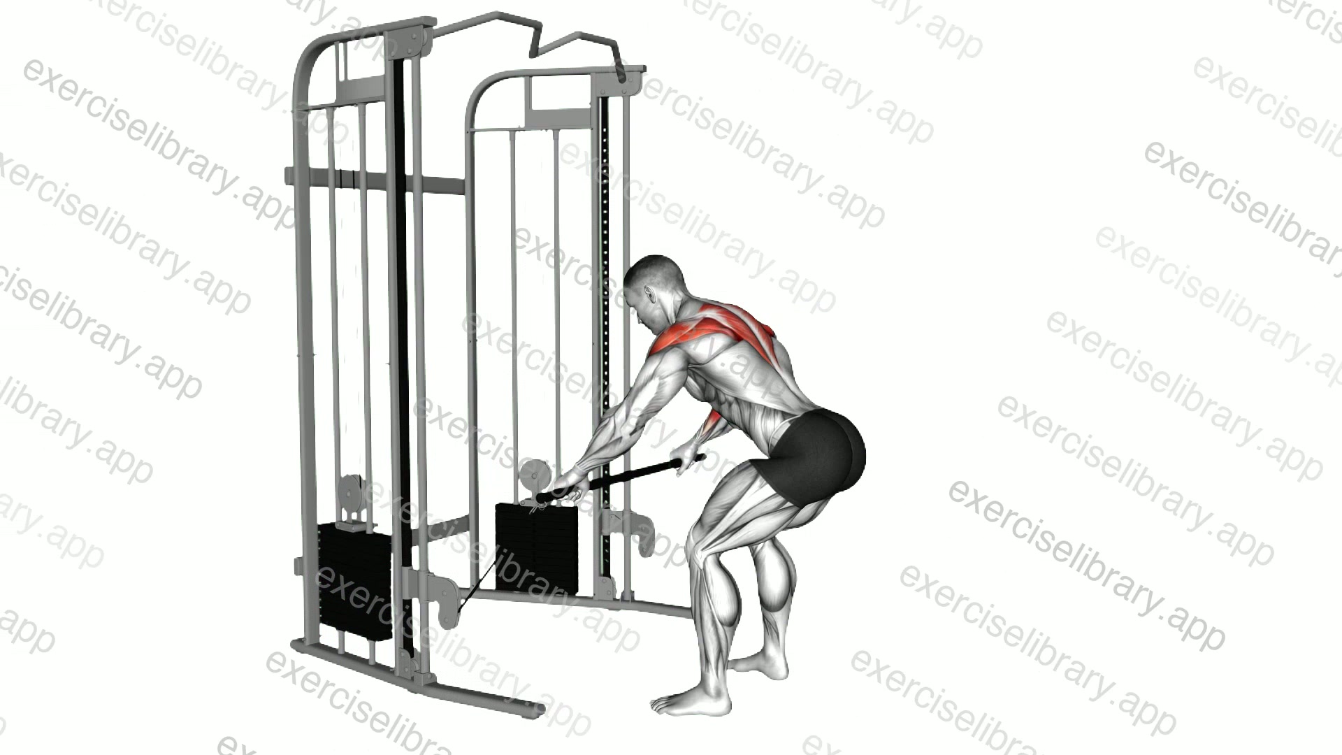 Cable Bent over Contralateral Rear Delt Row demonstration