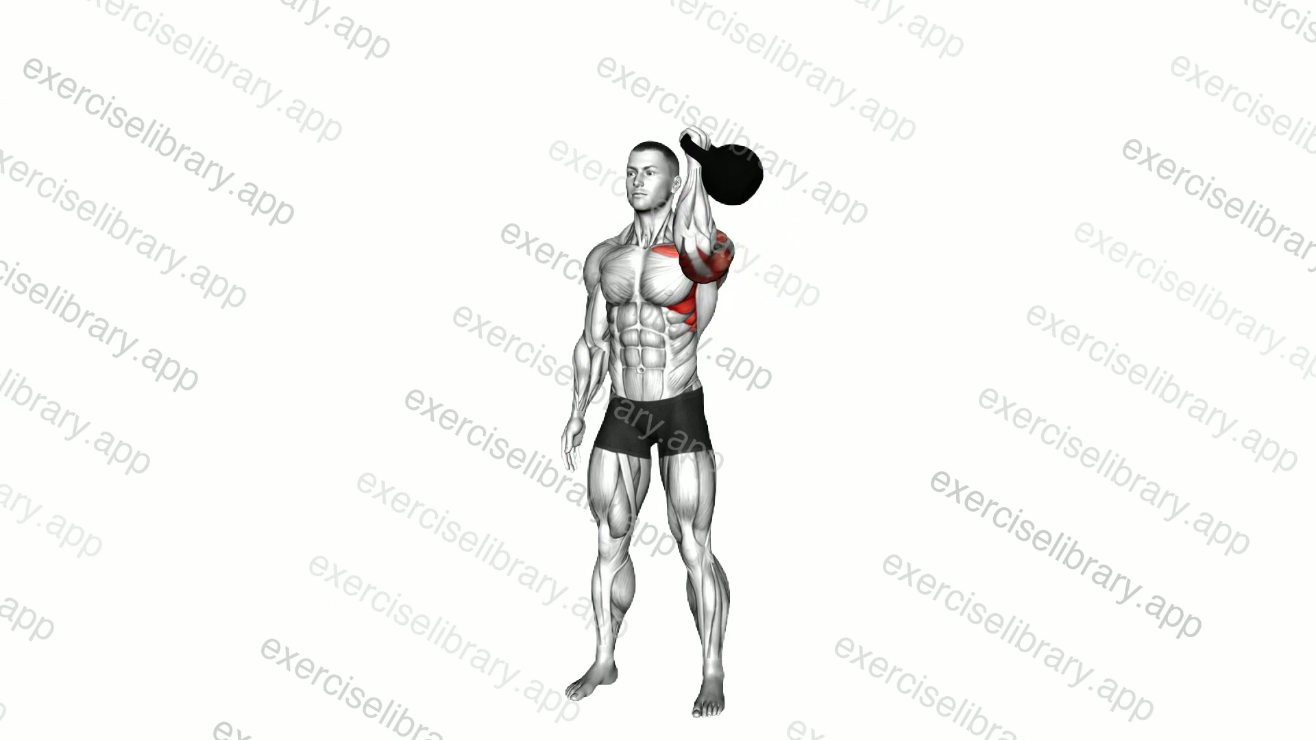 Kettlebell Single Arm Shoulder Press demonstration