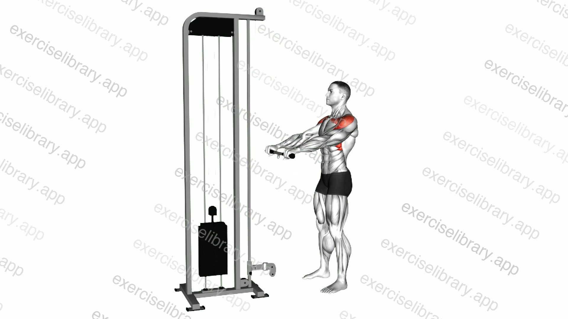 Cable Full Front Raise demonstration