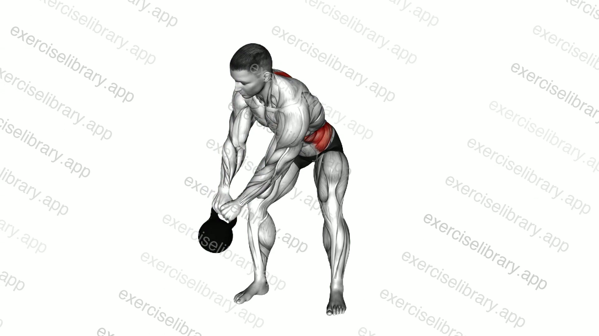 Kettlebell Bent over Spinal Rotation demonstration