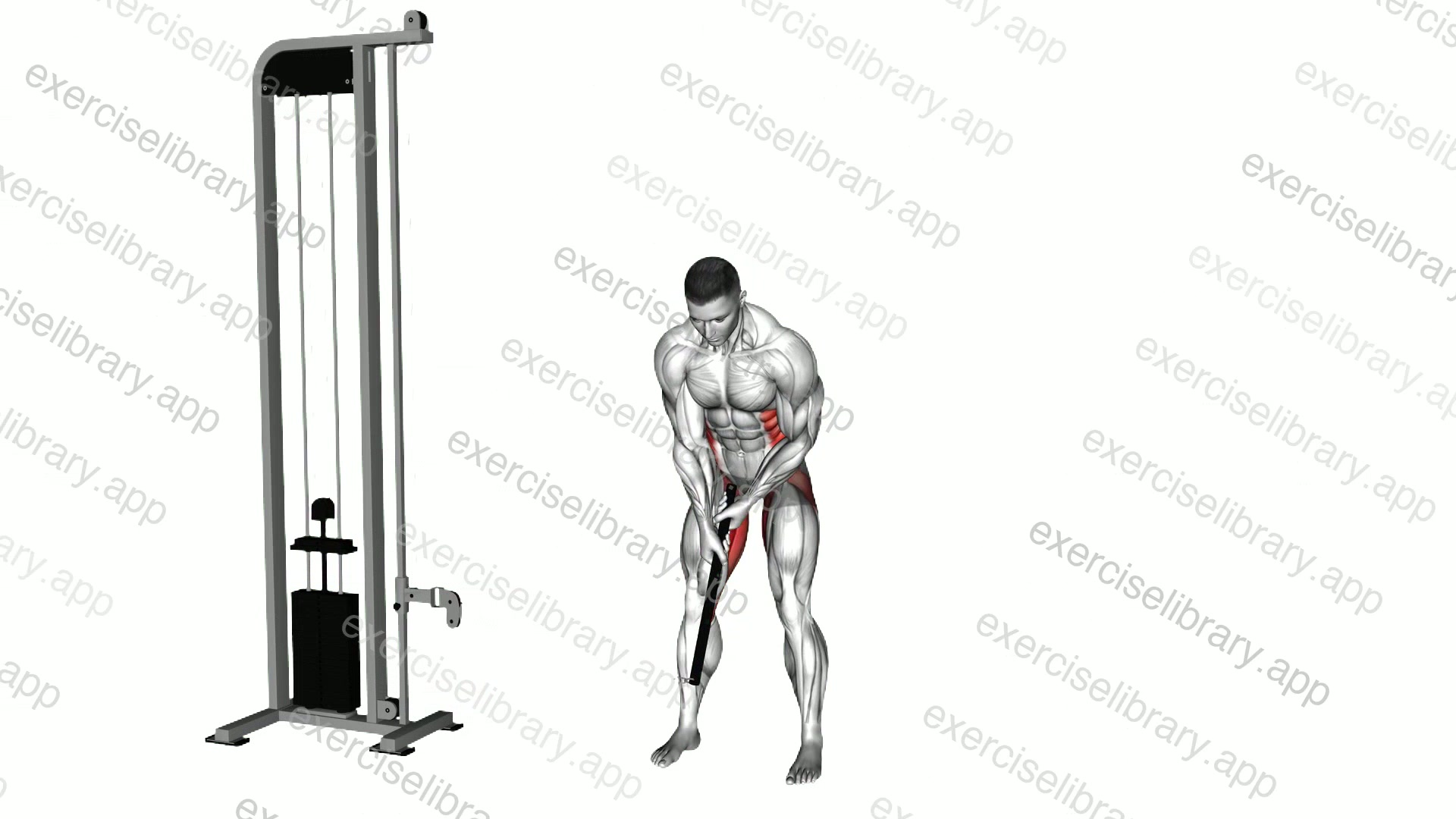 Cable Bent Over Golf Swing Pull Torso Rotation demonstration