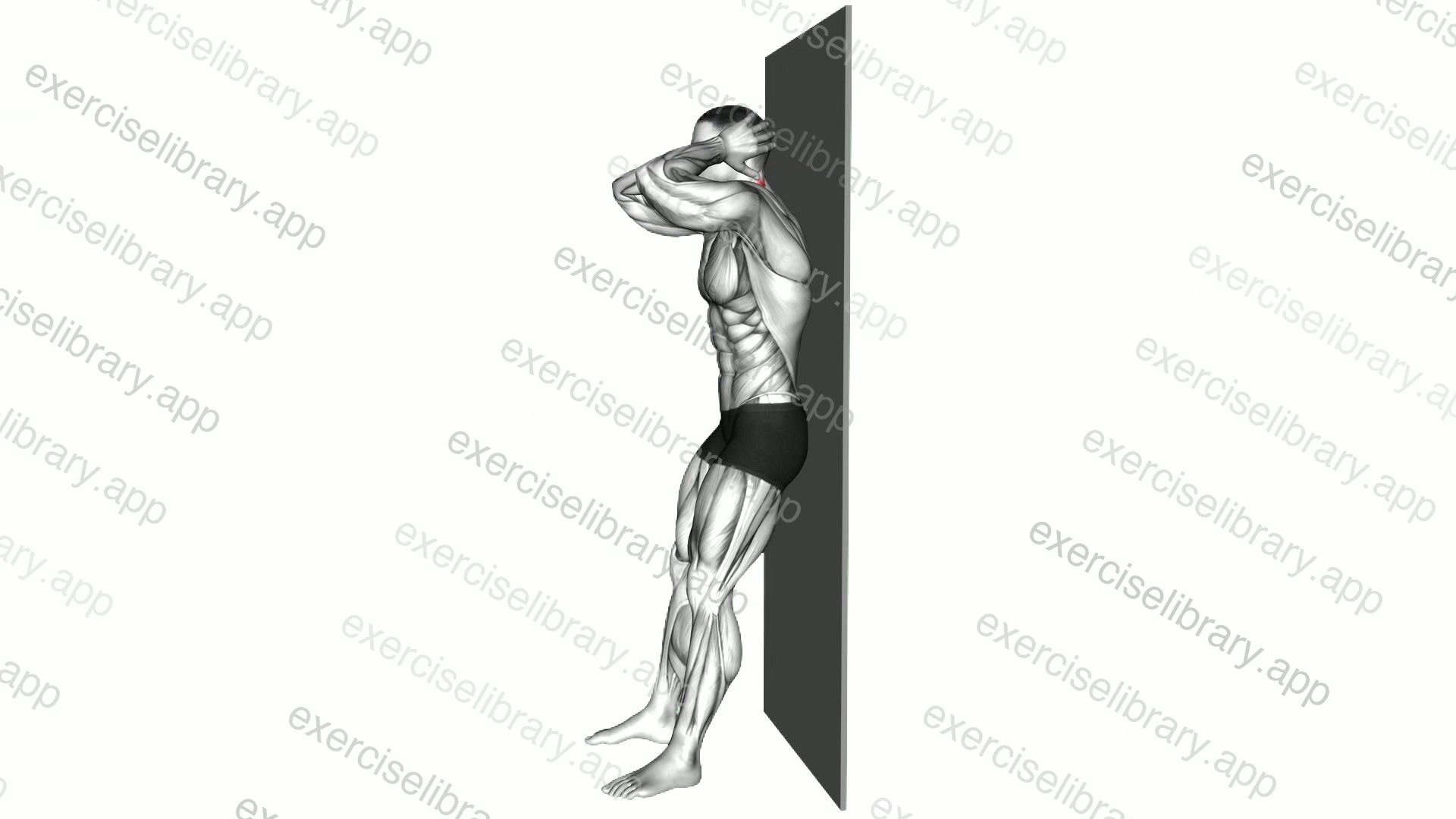 Standing Back Neck Stretch demonstration