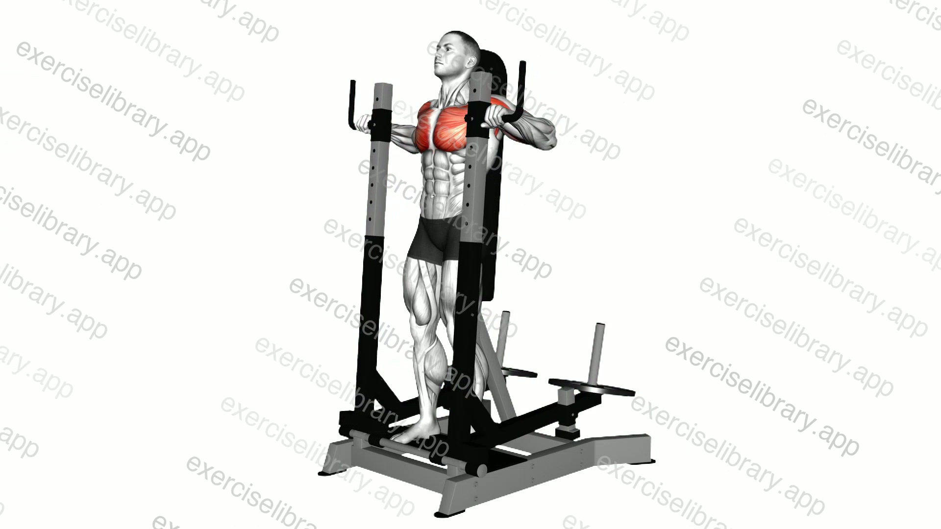 Lever Standing Chest Press demonstration