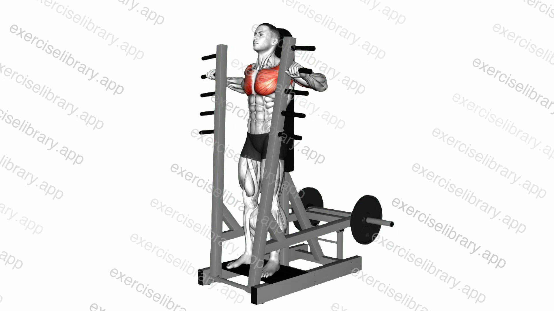 Lever Standing Chest Press demonstration