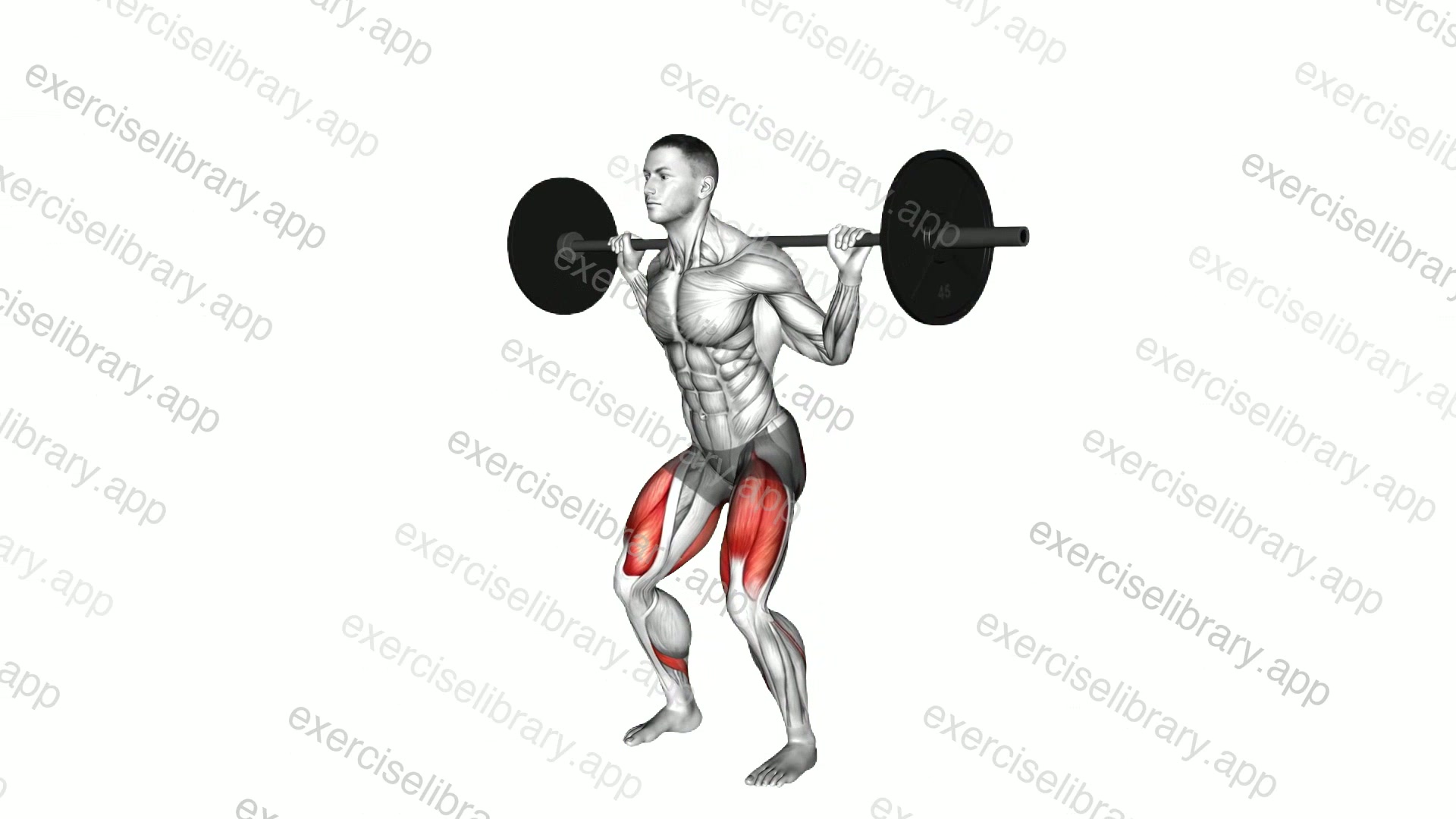 Barbell Pulse Squat demonstration