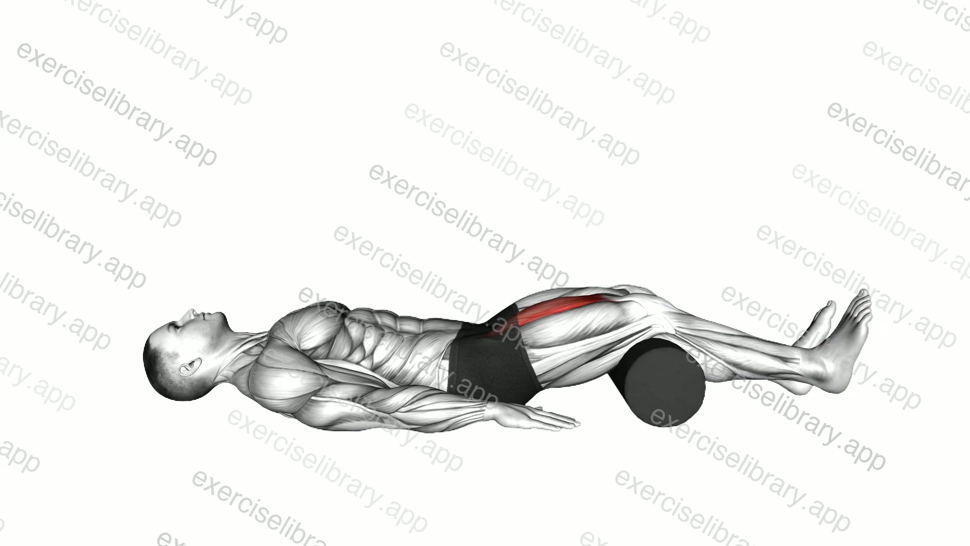 Lying Supine Knee Extension demonstration