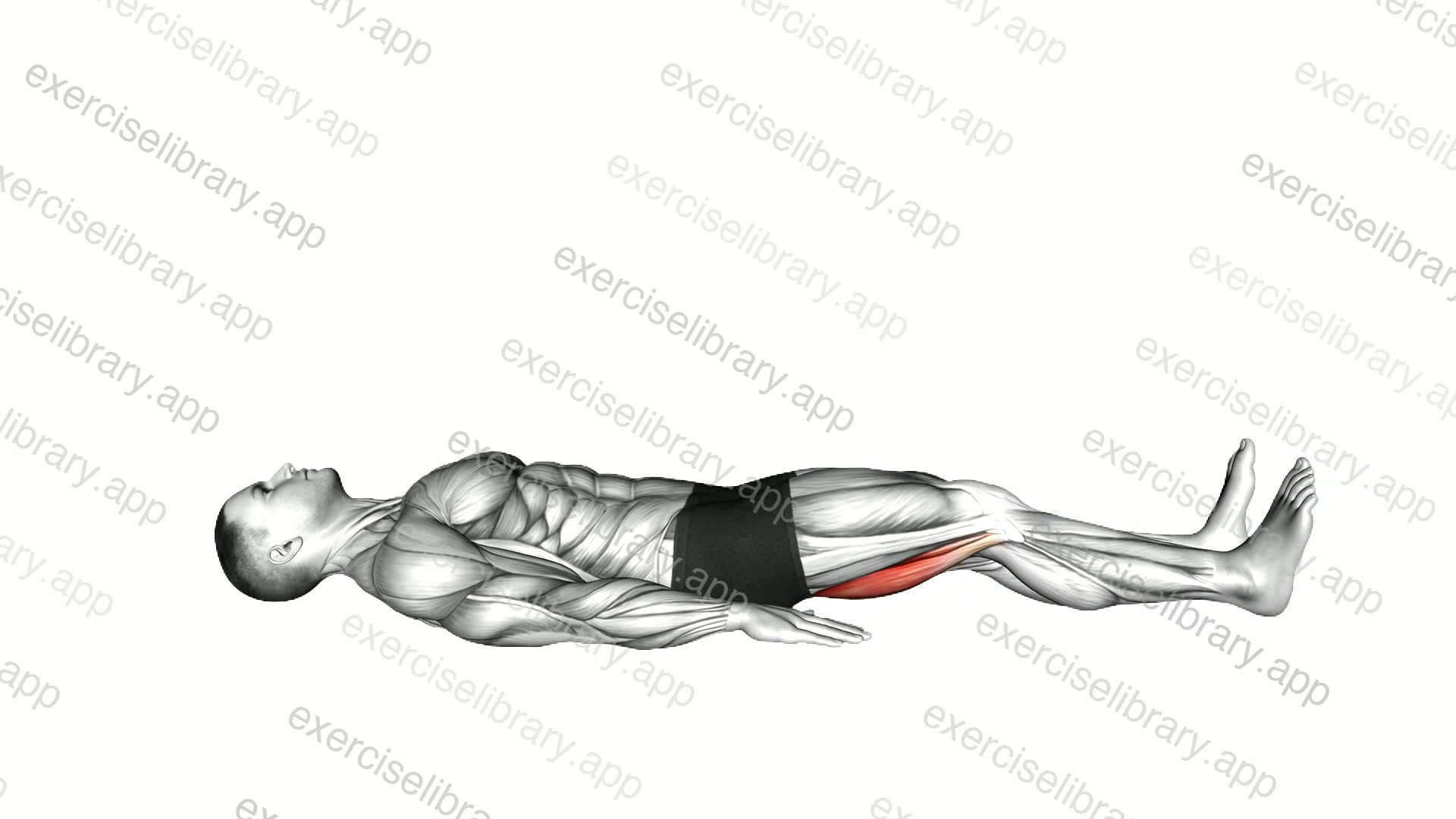Lying Supine Heel Slide demonstration