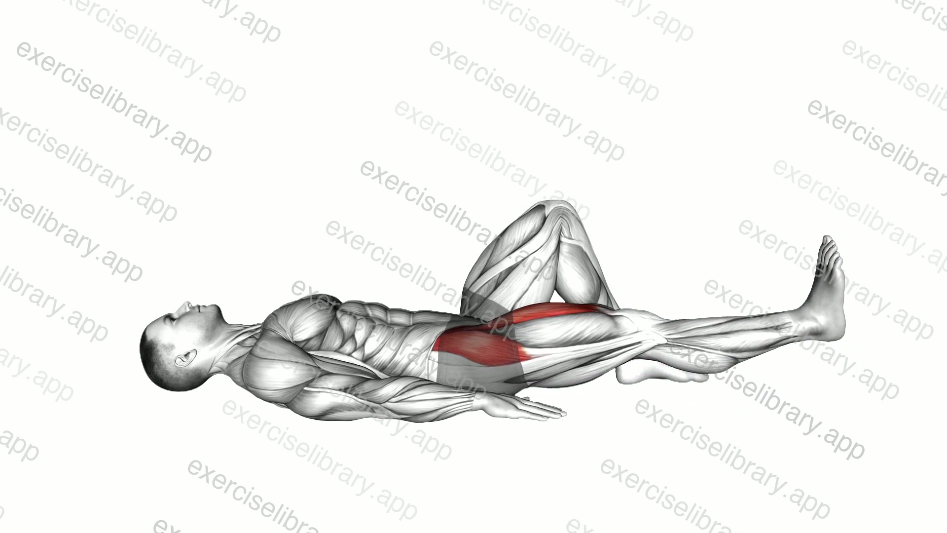 Lying Supine Straight Knee Raise demonstration