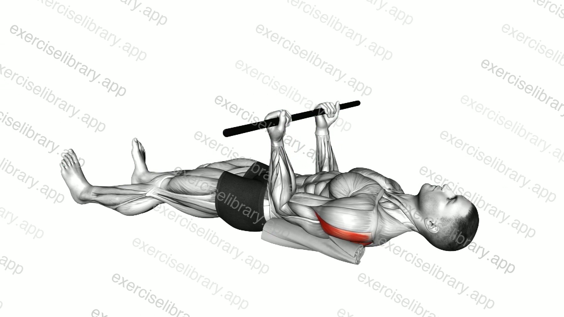 Stick Assisted Lying Shoulder External Rotation demonstration