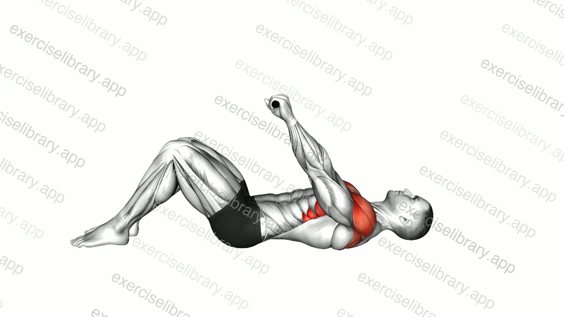 Stick Assisted Lying Supine Shoulder Flexion demonstration