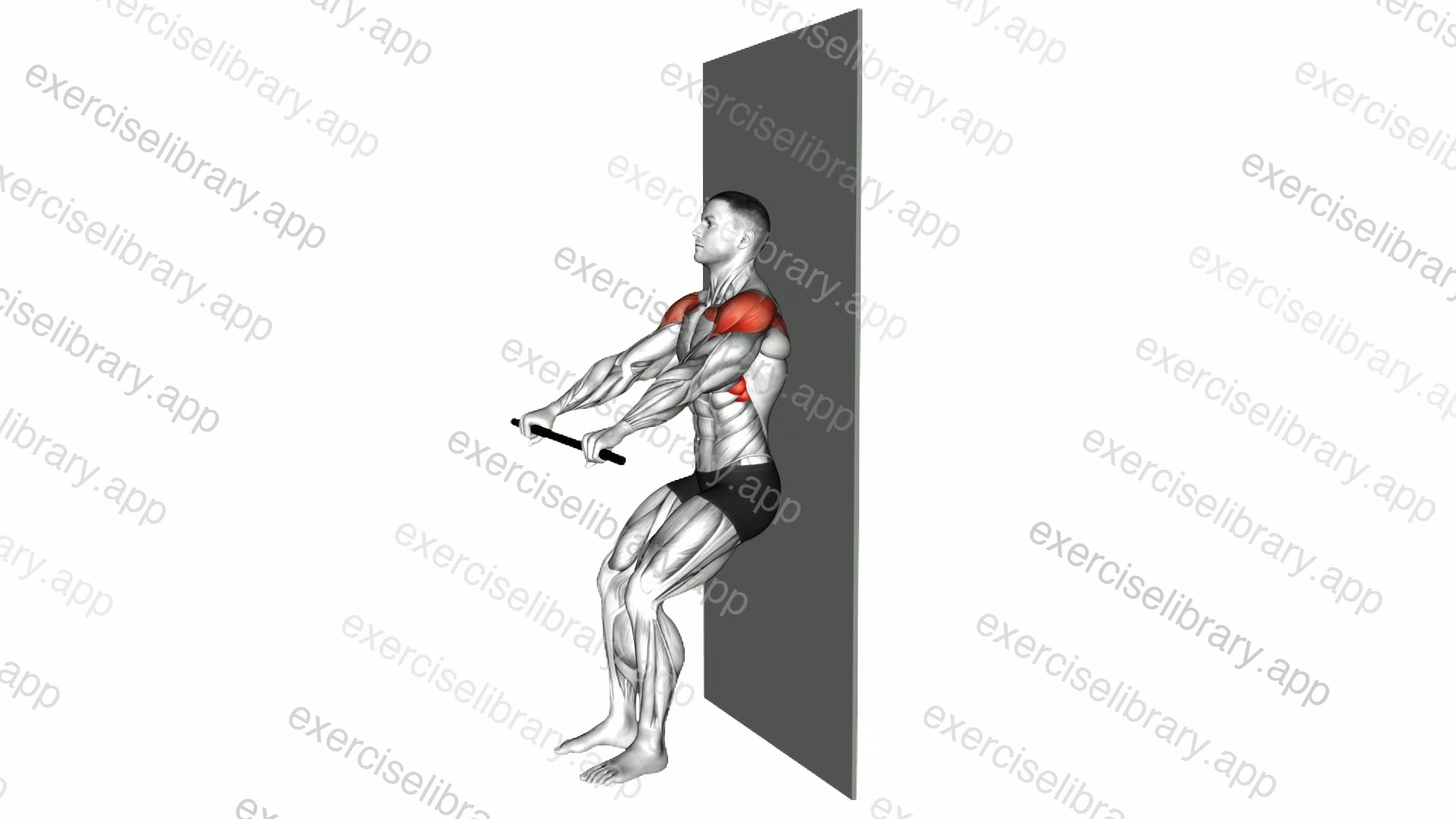 Stick Assisted Standing Shoulder Flexion demonstration