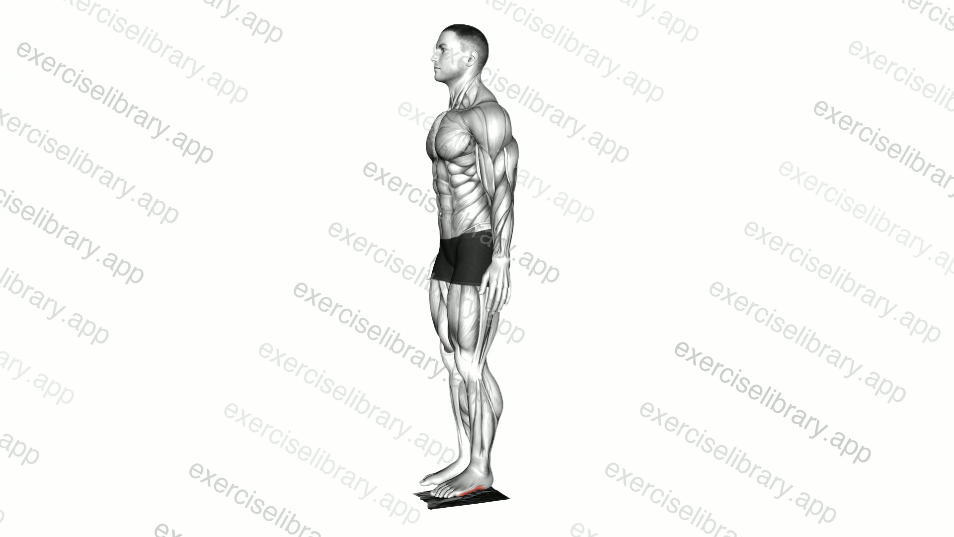 Standing Towel Foot Crunch demonstration