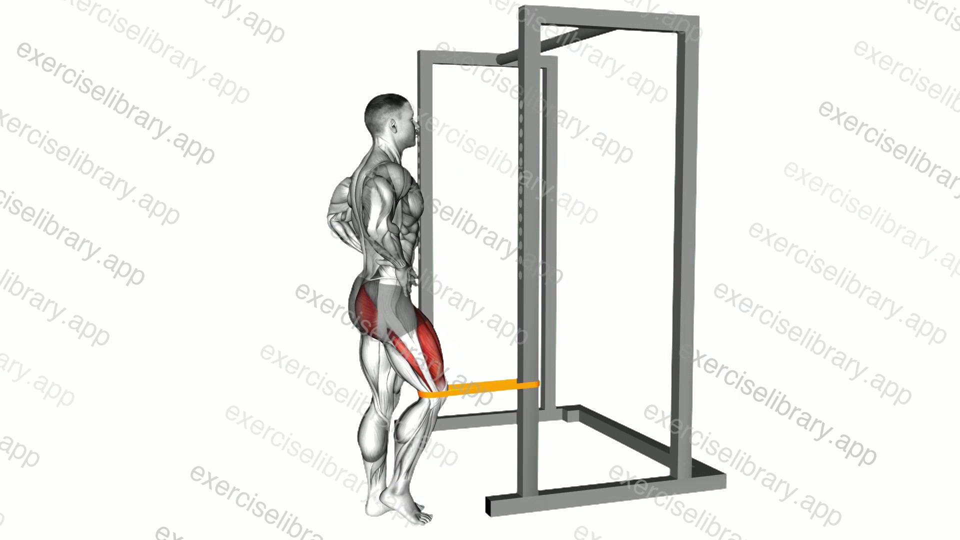 Resistance Band Standing Single Leg Knee Extension demonstration