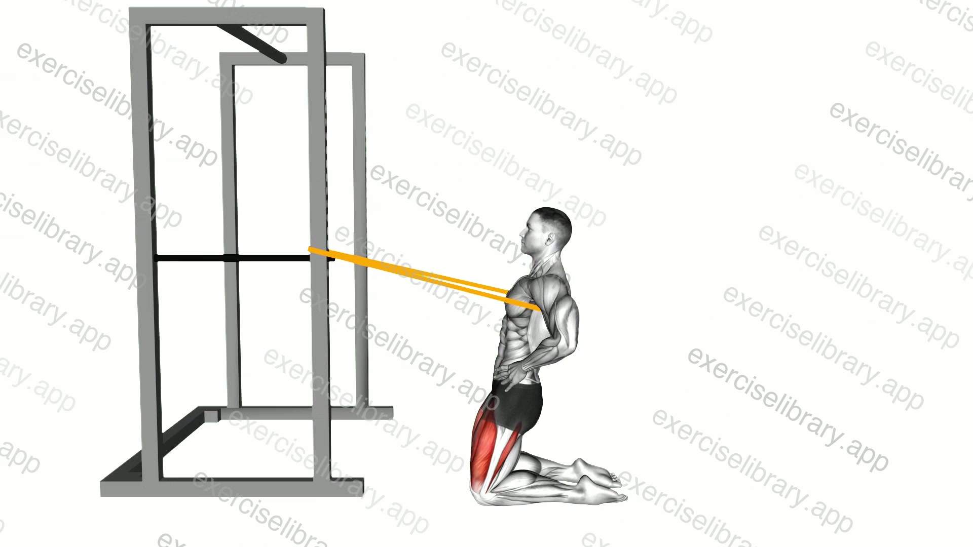 Resistance Band Kneeling Sissy Squat demonstration