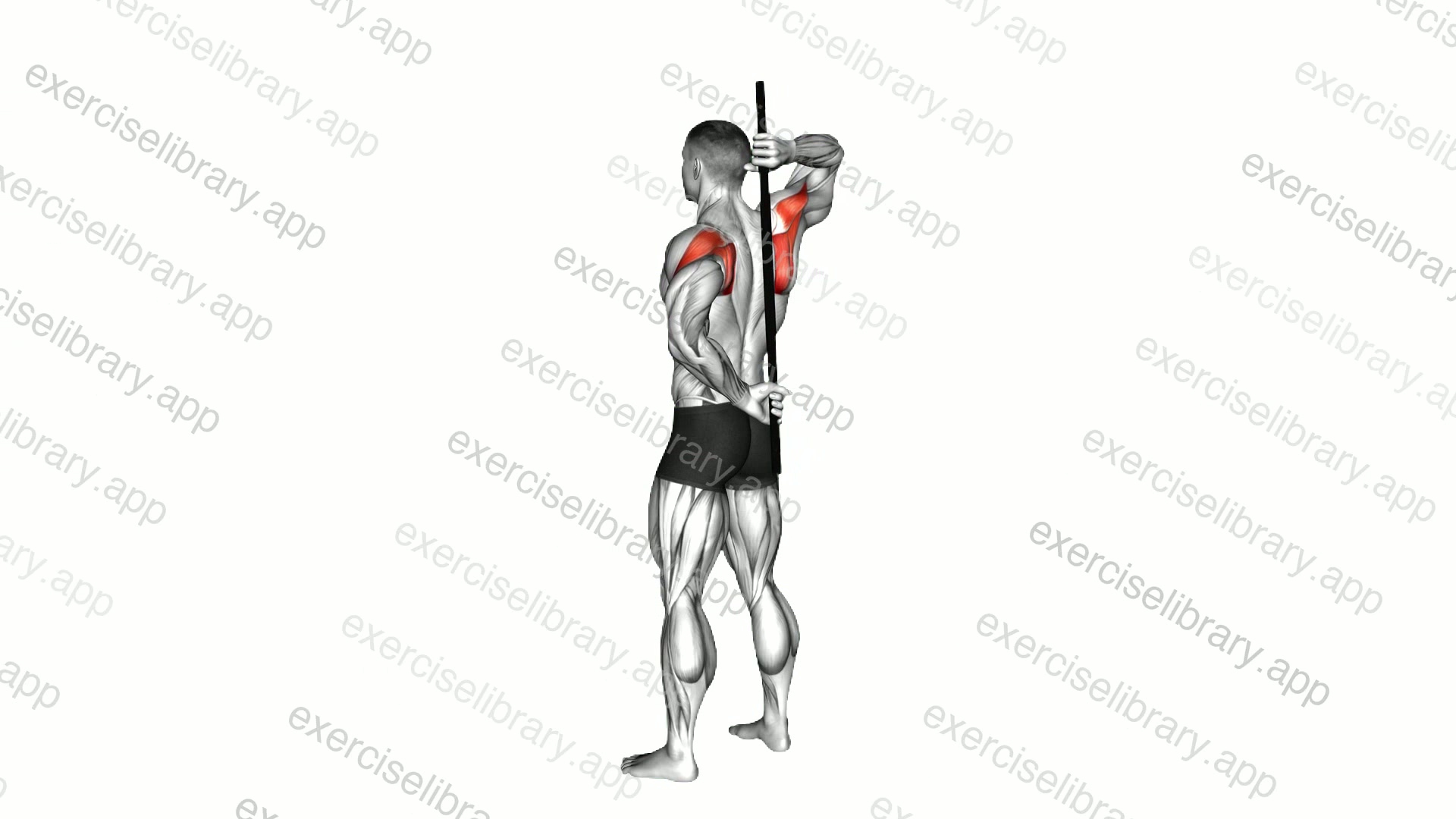 Stick Assisted Standing Shoulder Internal Rotation demonstration