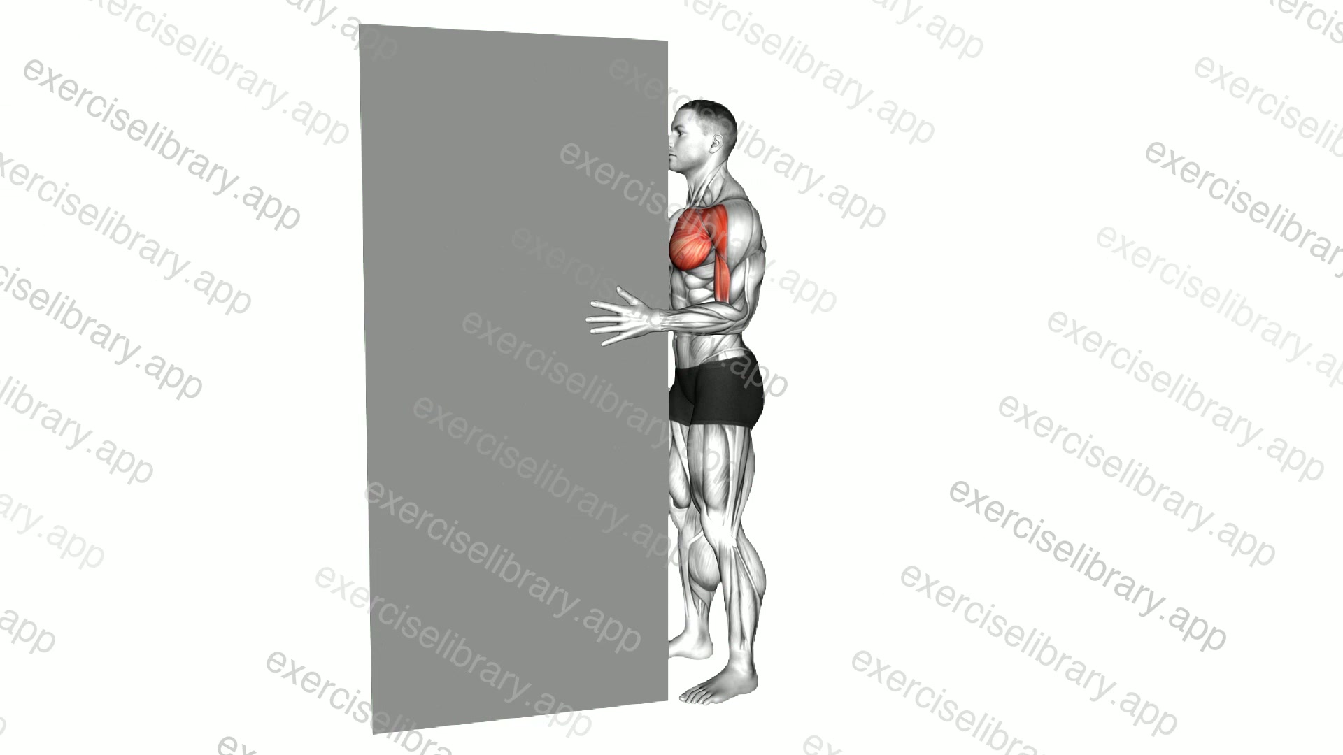 Standing Isometric Shoulder Internal Rotation against Wall demonstration