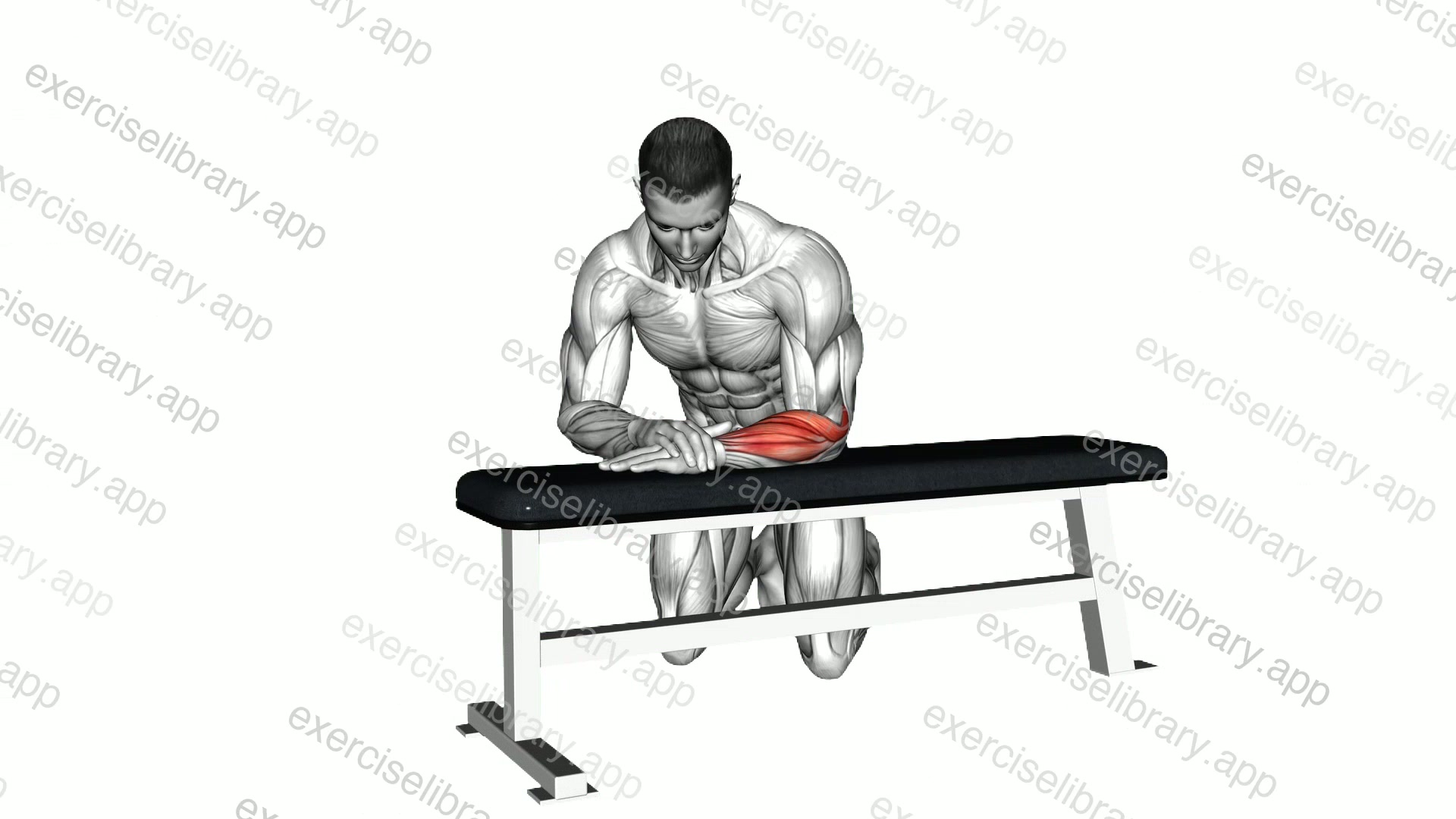 Isometric Wrist Extension demonstration