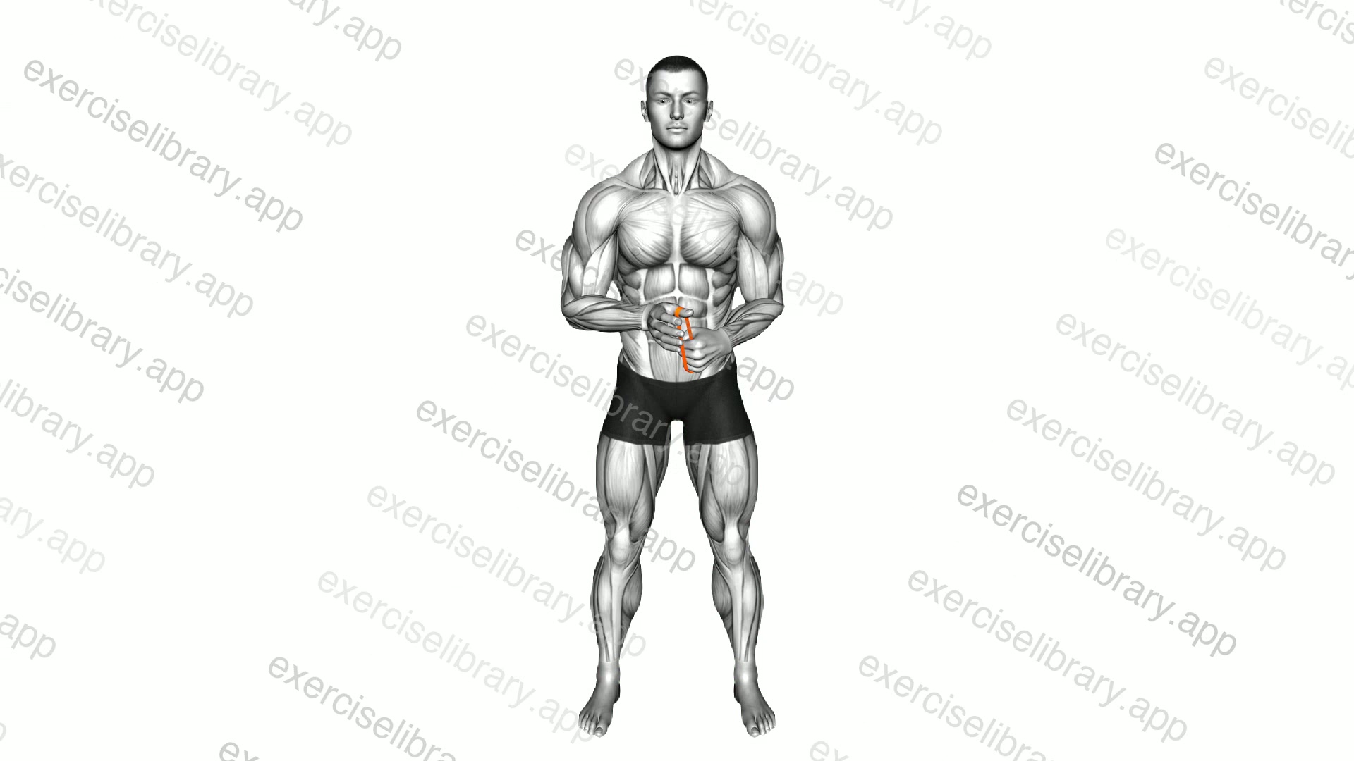 Resistance Band Isometric Thumb Extension demonstration